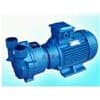 珠海 泊泵機(jī)電 水環(huán)真空泵 2BVA-6121 廠家供應(yīng)