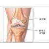 【新樂孫氏骨科】能幫您治好風濕骨病遠離骨病困擾