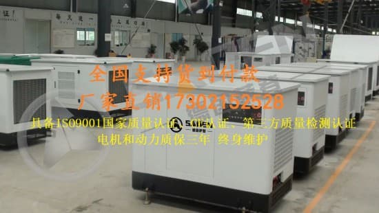 30KW汽油發電機 (1)
