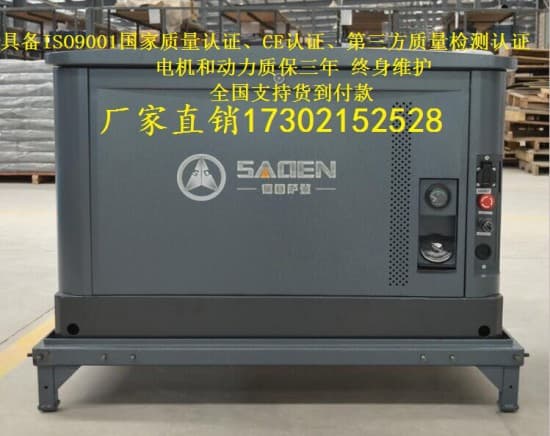 0大型汽油發電機 (2)