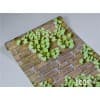 寧夏3D立體自粘墻紙,蘭州3D立體自粘墻紙/山東臨沂嘉樂家居