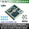 捷迅易聯-無線物聯|擴頻LoRa通訊自組網MESH模塊