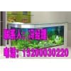 河北生態魚缸技術培訓-河北初彩生態魚缸