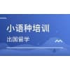 青島高考小語種培訓排名推薦|金榜文化學校