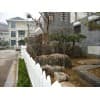 假山工程廠家/臨沂市禾鼎園林技術