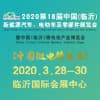 臨沂新能源汽車、電動(dòng)車及零部件展