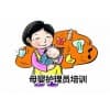 青島市北母嬰護(hù)理培訓(xùn)機(jī)構(gòu)|德圣家專業(yè)家政服務(wù)
