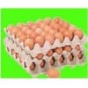 南陽蛋托價(jià)格-[石家莊潔盛紙制品]
