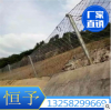 RXI-100型邊坡防護網/恒予金屬絲網