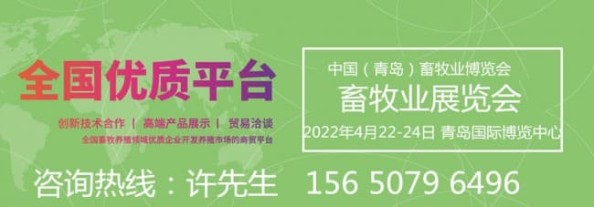 青島1_副本_副本
