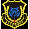 少兒軍事夏令營/東莞森林狼軍事拓展