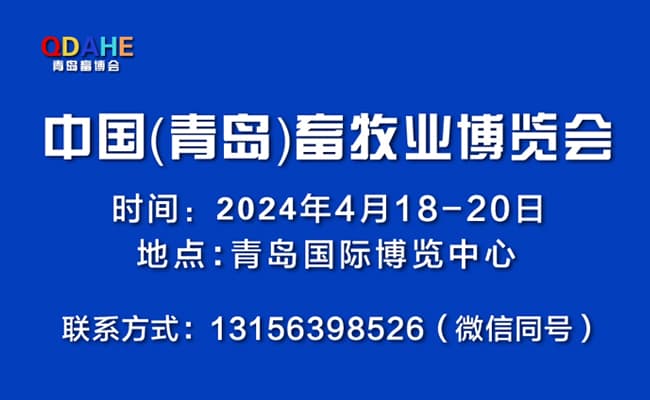 媒體用彩頁-13(2)