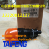 山東泰豐供應(yīng)DBDS20K直動式溢流閥廠家直銷